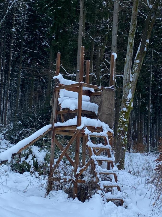 Zum Waldfrieden Hotell Neuhof  Exteriör bild